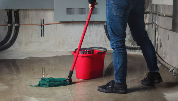 Best 24-hour water damage restoration  in Mount Ayr, IA