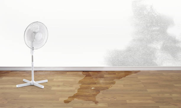 Best Emergency water damage restoration  in Mount Ayr, IA