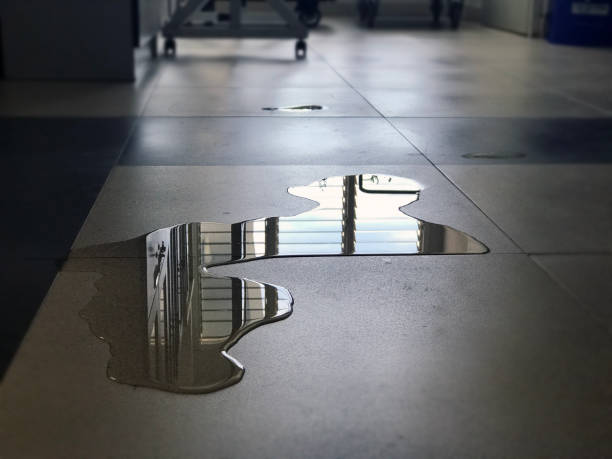 Reliable Mount Ayr, IA Water damage restoration Solutions