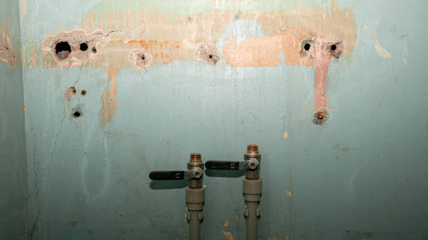 Best Professional water damage repair  in Mount Ayr, IA