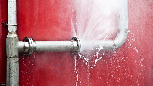 Best Mold removal after water damage  in Mount Ayr, IA